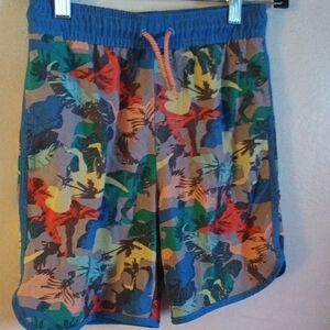 Colorful dinosaur Swim Shorts